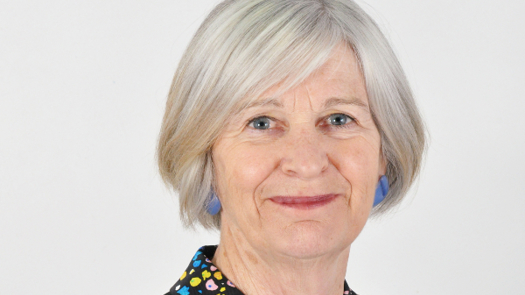 Annie Hudson, who is leading the Independent Review of Social Work Regulation