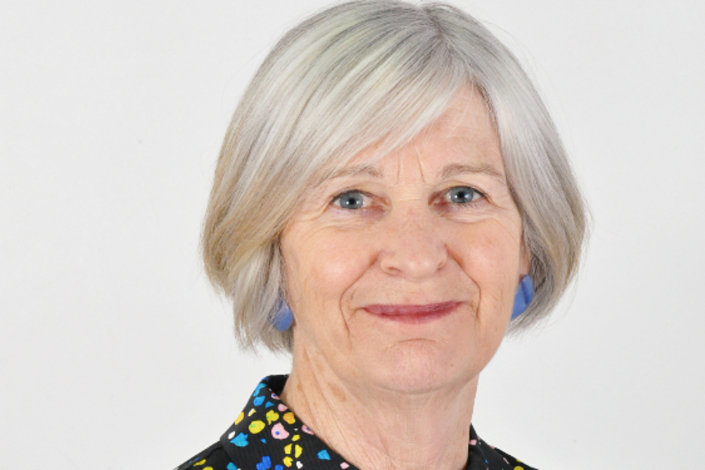 Annie Hudson, who is leading the Independent Review of Social Work Regulation