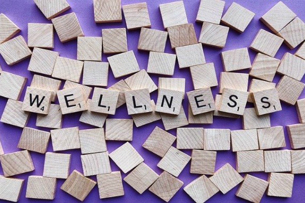 Ⓒ Wokandapix from Pixabay