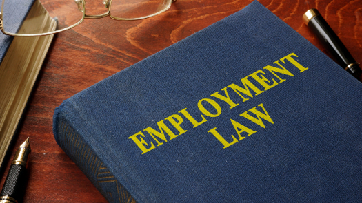 Photo: Vitalii Vodolazskyi/Adobe Stock