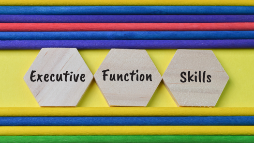 Photo: TeacherPhoto/Adobe Stock|A wheel illustrating the different aspects of executive functioning 