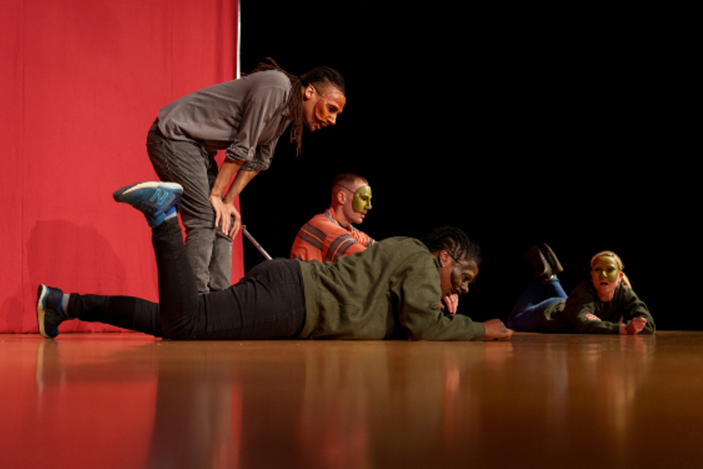 A Geese Theatre performance (picture supplied by Geese Theatre)