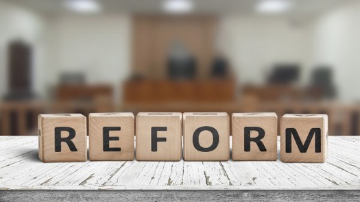 Photo: Polarpx/Adobe Stock