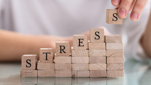 (credit: Andrey Popov / Adobe Stock)